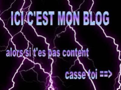 blog